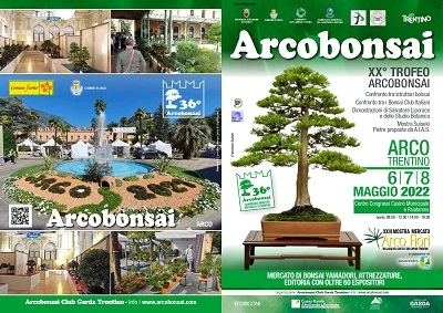 Arcobonsai 1