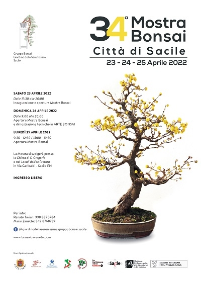 Mostra bonsai Città di Sacile