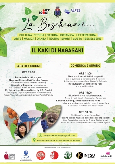 Il kaki di Nagasaki