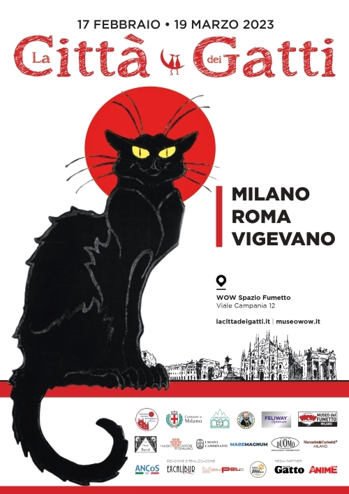 La città dei gatti 1