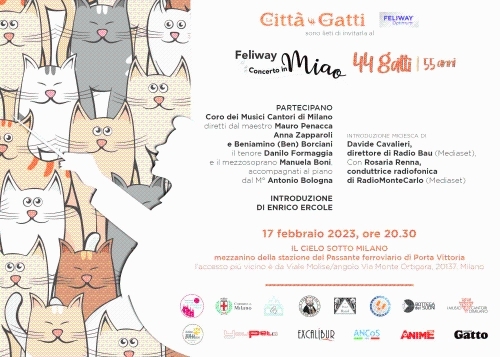 La città dei gatti 2