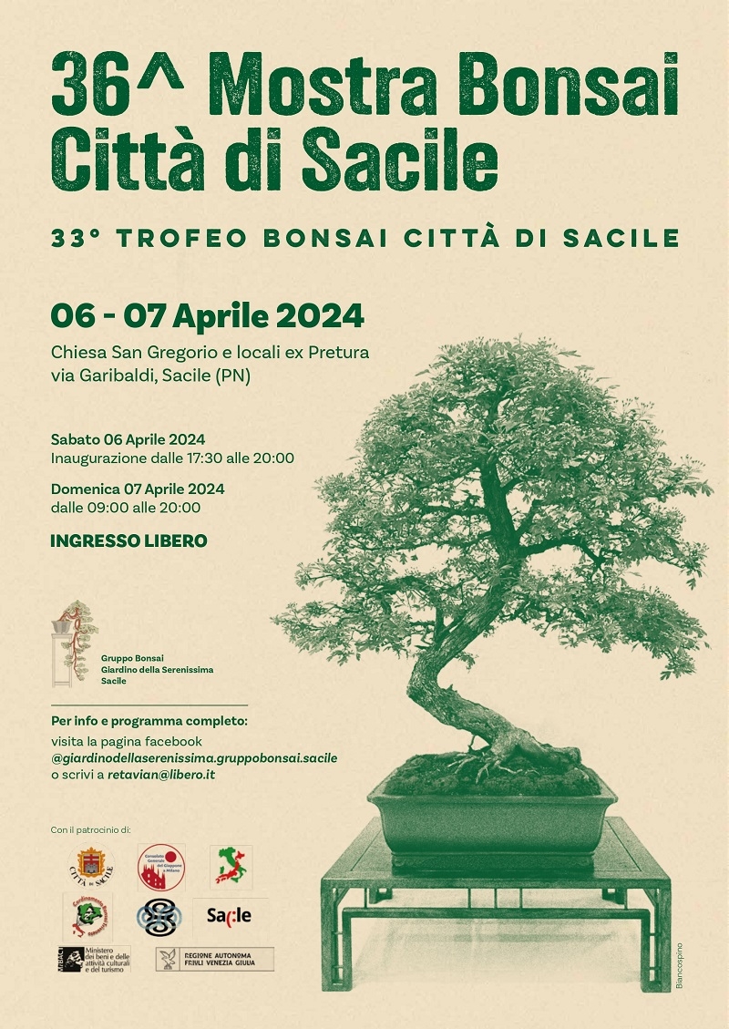 Mostra Bonsai 1