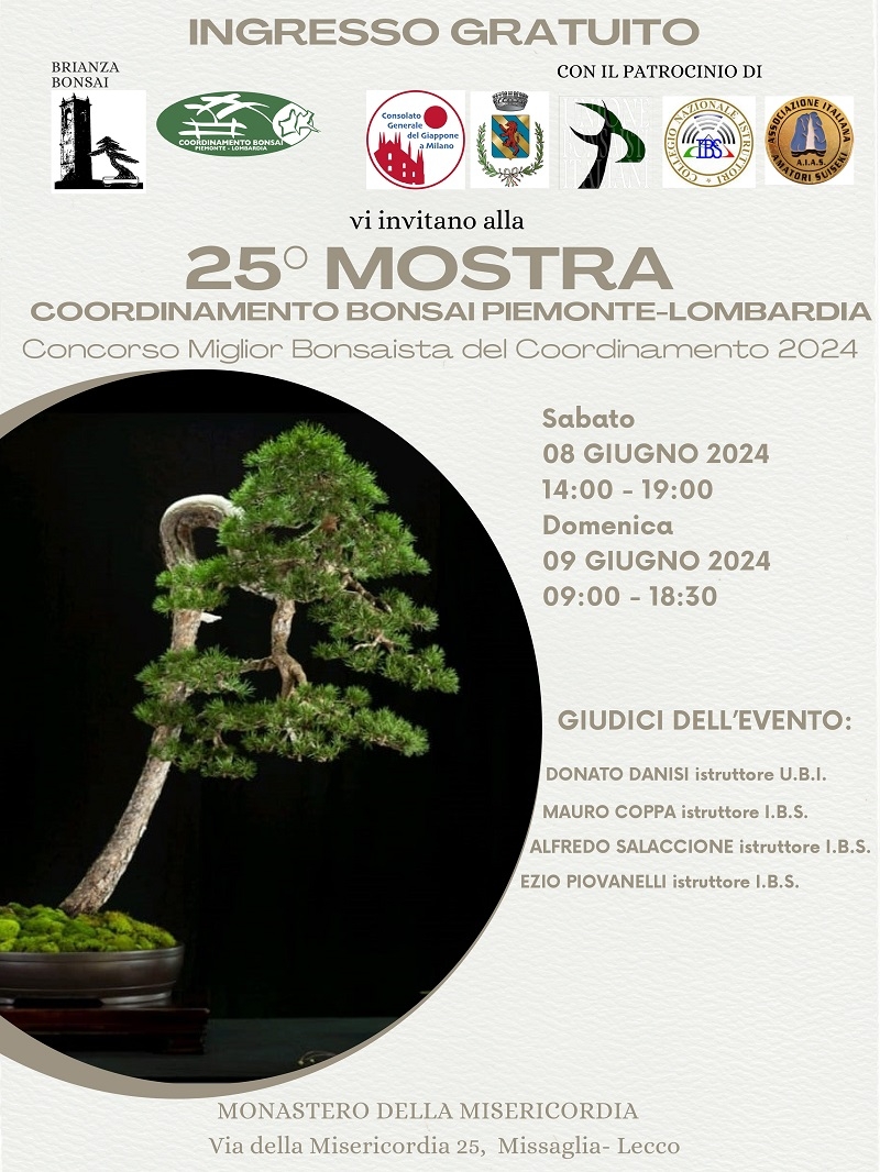 Mostra bonsai-suiseki