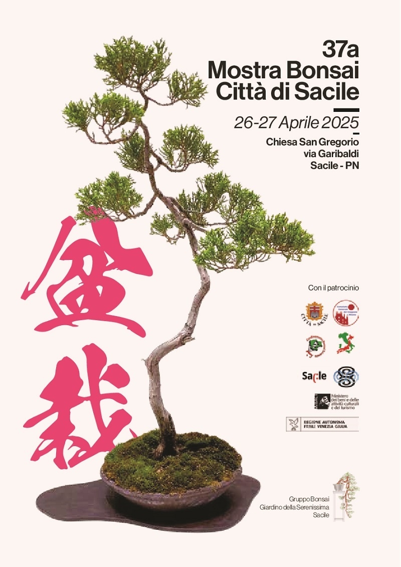 mostrabonsai-sacile-2025 1