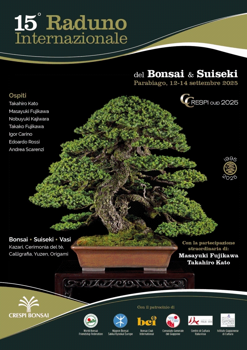 raduno-bonsaiesuiseki-crespibonsai