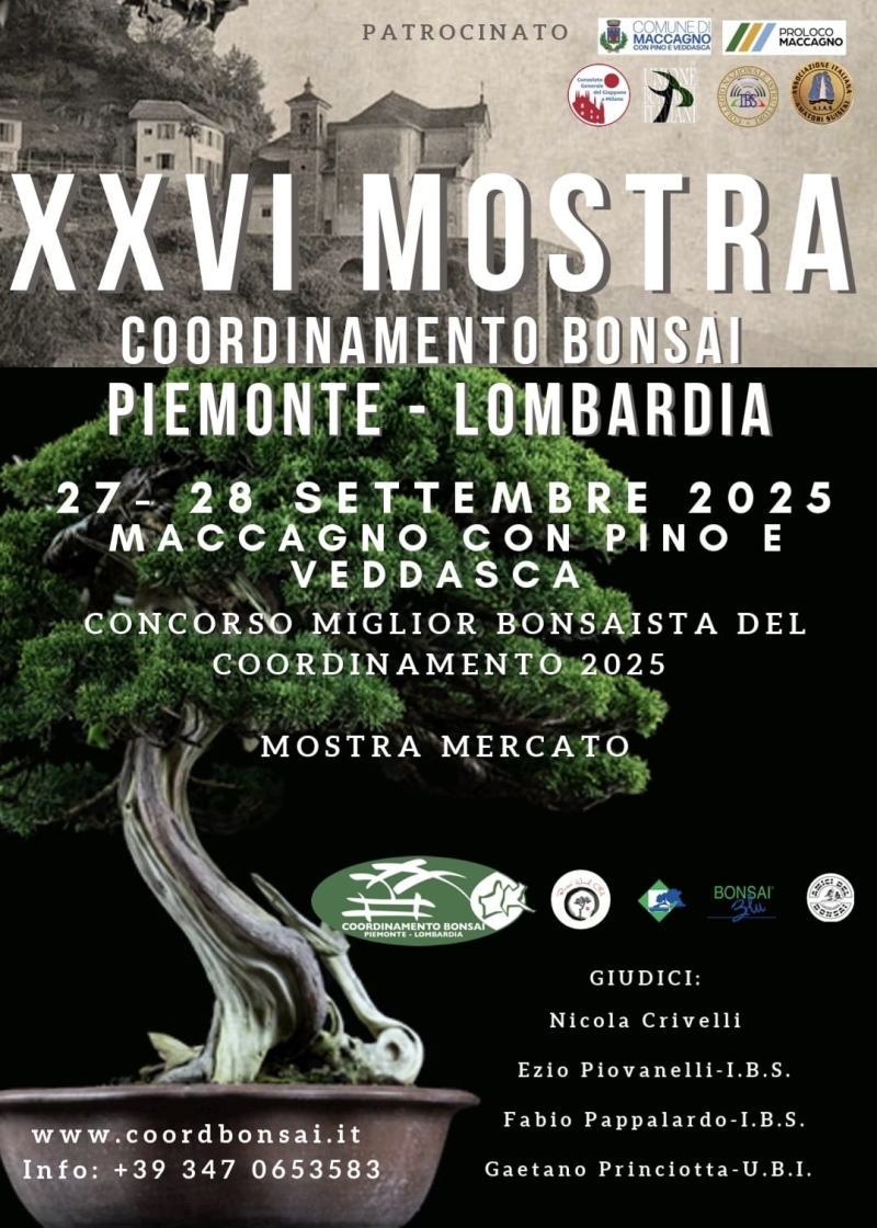 26mostrabonsai-coordpiemontelombardia-giapponesulago1
