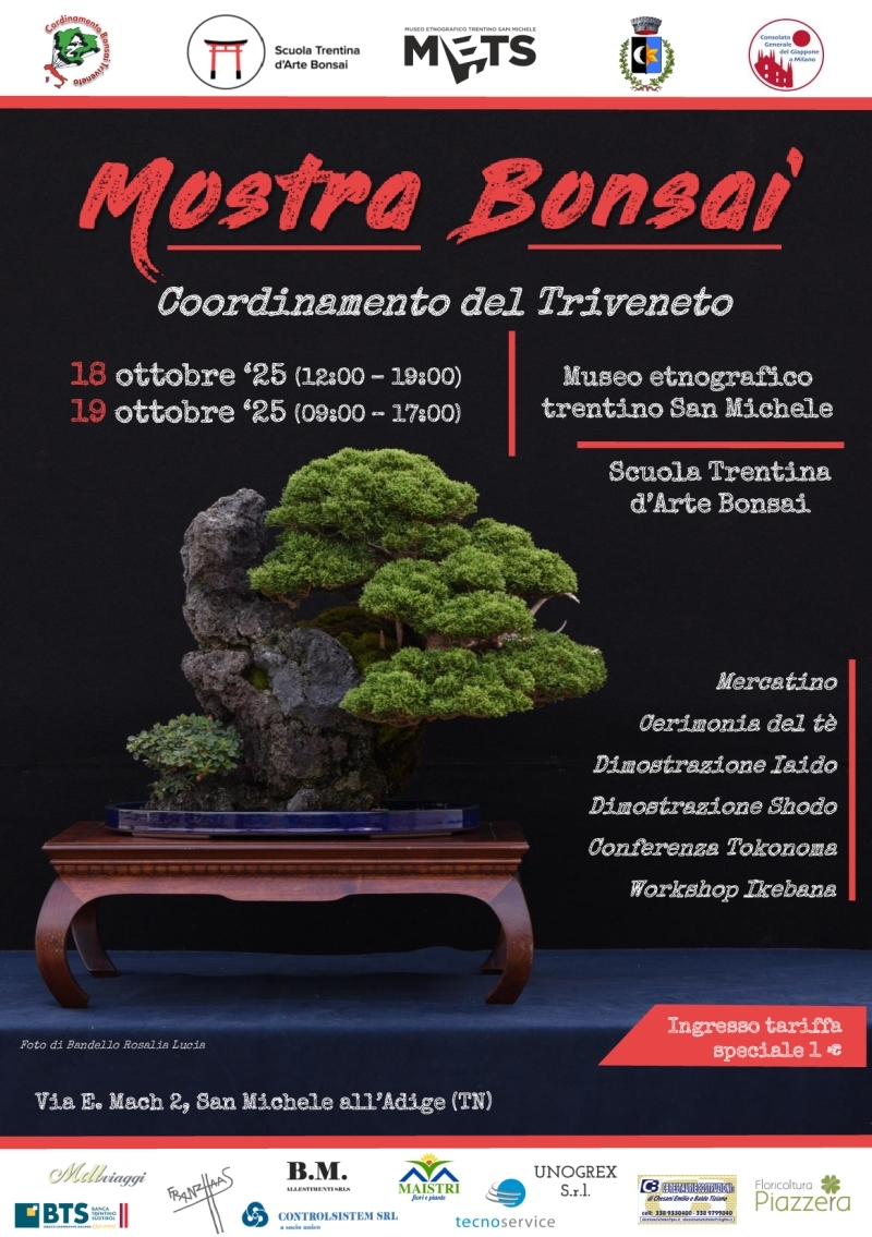 mostrabonsai-coordinamento-triveneto1