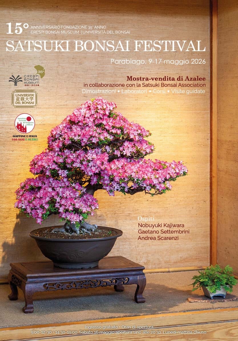 15-satsukibonsaifestival-crespibonsai
