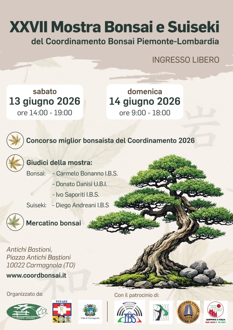 27mostrabonsai-coordpiemontelombardia-carmagnola2